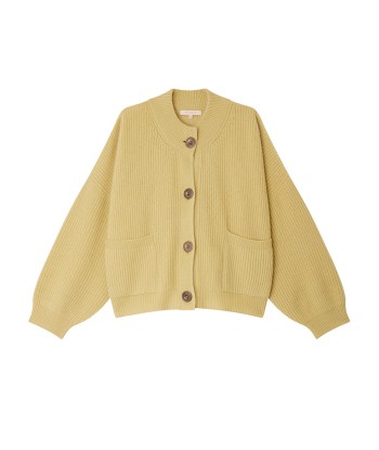 CARDIGAN ROY ACACIA Amélioration de cerveau avec