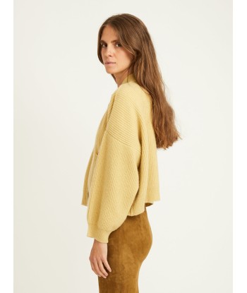 CARDIGAN ROY ACACIA Amélioration de cerveau avec