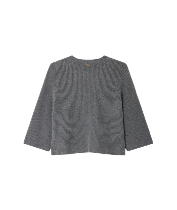 PULL FLARE GRIS la livraison gratuite