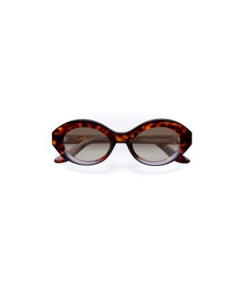 LUNETTE MARIA HAVANA GRADIENT Le MVP de beaucoup