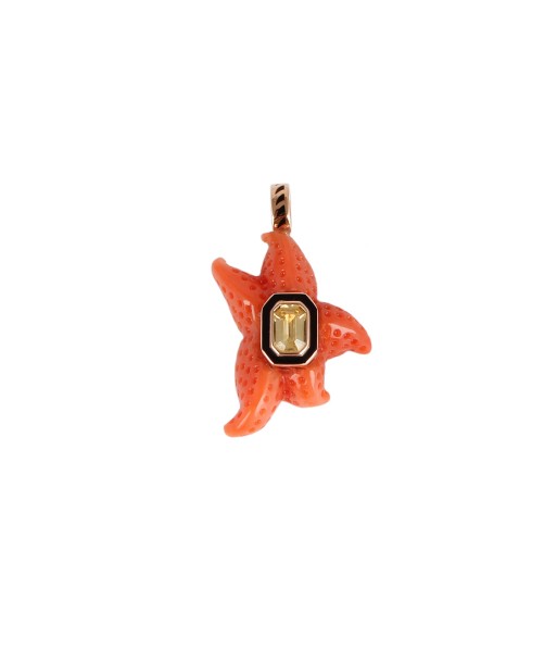 PENDENTIF ÉTOILE DE MER CORAIL l'évolution des habitudes 