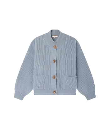 CARDIGAN ROY BLEU GRISE online