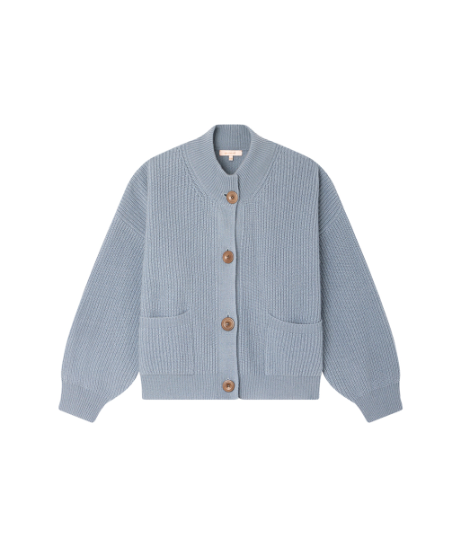 CARDIGAN ROY BLEU GRISE online