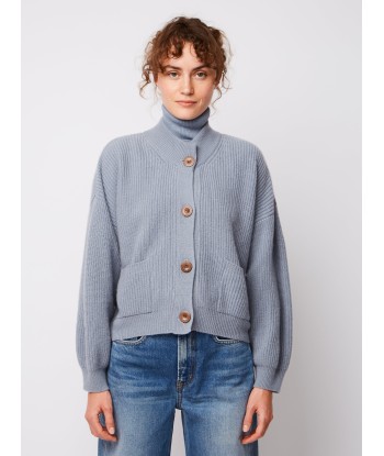 CARDIGAN ROY BLEU GRISE online