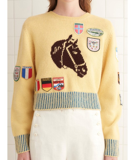 PULL PONY SILHOUETTE pas cher chine