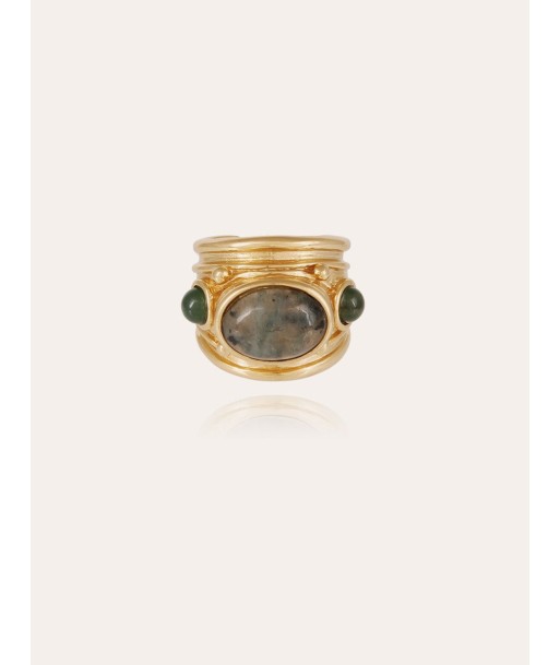 BAGUE SIMONE LABRADORITE & SERPENTINE une grave pollution 